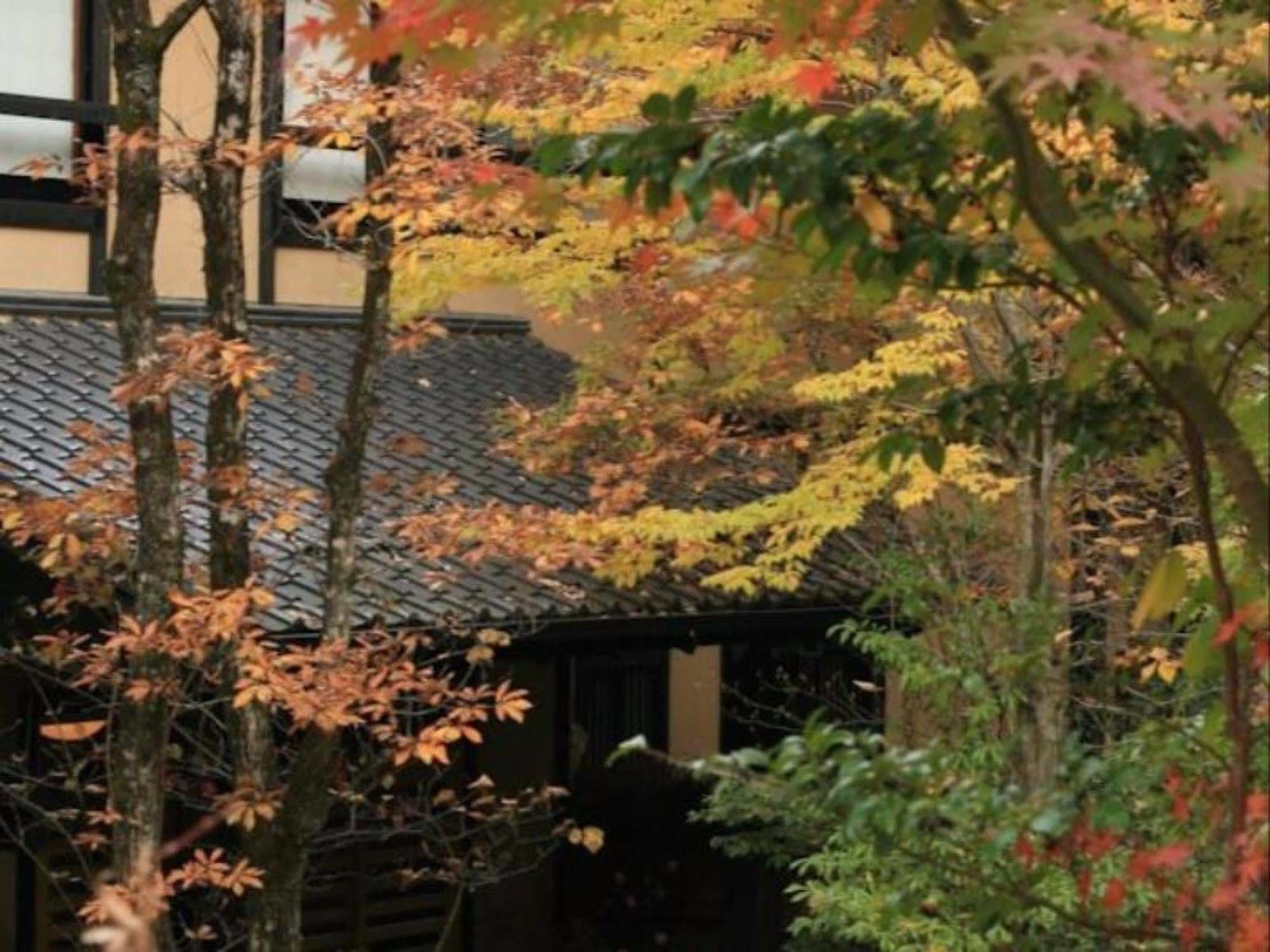 Ryokan Wakaba Minamioguni Exterior foto